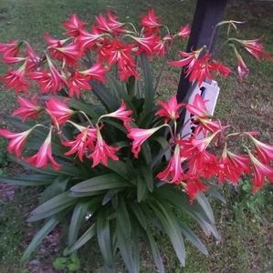 Meet your Posher, Mary alexander